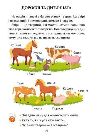 79
Теля Лоша
Порося
Кошеня
Каченя
Курча
Кобила
Качка
Курка
Кішка
Свиня
Корова
ДОРОСЛІ ТА ДИТИНЧАТА
На нашій планеті є багато різних тварин. Це звірі
і птахи, риби і земноводні, комахи і павуки.
Звірі — це тварини, які мають чотири лапи, їхні
тіла переважно вкриті шерстю. Новонароджених ди-
тинчат вони вигодовують материнським молоком,
тому цих тварин ще називають ссавцями.
?
• Знайдіть маму для кожного дитинчати.
• Скажіть, як їх усіх називають.
• Які з цих тварин не є ссавцями?
Право для безоплатного розміщення підручника в мережі Інтернет має
Міністерство освіти і науки України http://mon.gov.ua/ та Інститут модернізації змісту освіти https://imzo.gov.ua
 
