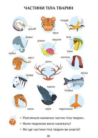 81
хобот
вуса
хвіст
ріжки
грива
язик
роги
плавці
мушля
луска
дзьоб
перетинки
пазурі
ЧАСТИНИ ТІЛА ТВАРИН
?
• Розгляньте малюнки частин тіла тварин.
• Яким тваринам вони належать?
• Які ще частини тіла тварин ви знаєте?
лапи
крила
пір’я
бивні ікла
копита
Право для безоплатного розміщення підручника в мережі Інтернет має
Міністерство освіти і науки України http://mon.gov.ua/ та Інститут модернізації змісту освіти https://imzo.gov.ua
 