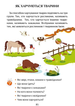 83
ЯК ХАРЧУЮТЬСЯ ТВАРИНИ
За способом харчування тварин поділяють на три
групи. Тих, хто харчується рослинами, називають
травоїдними. Тих, хто харчується іншими твари­
нами, називають хижаками. Всеїдними називають
тих, які живляться рослинною і тваринною їжею.
?
• Які звірі, птахи, комахи є травоїдними?
• Що вони їдять?
• Які тварини є хижаками?
• На кого вони полюють?
• Які тварини є всеїдними?
• Чим вони харчуються?
Право для безоплатного розміщення підручника в мережі Інтернет має
Міністерство освіти і науки України http://mon.gov.ua/ та Інститут модернізації змісту освіти https://imzo.gov.ua
 