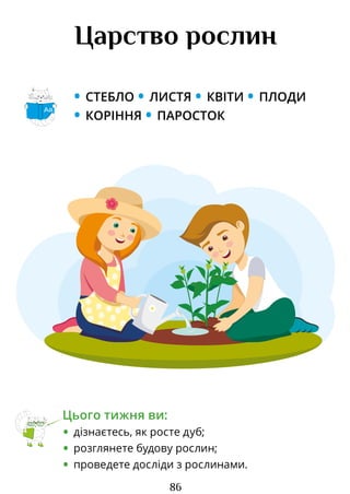 86
Царство рослин
• СТЕБЛО • ЛИСТЯ • КВІТИ • ПЛОДИ
• КОРІННЯ • ПАРОСТОК
Цього тижня ви:
• дізнаєтесь, як росте дуб;
• розглянете будову рослин;
• проведете досліди з рослинами.
Аа
Право для безоплатного розміщення підручника в мережі Інтернет має
Міністерство освіти і науки України http://mon.gov.ua/ та Інститут модернізації змісту освіти https://imzo.gov.ua
 