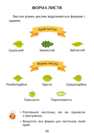 90
Суцільний Хвилястий Зубчастий
ФОРМА ЛИСТЯ
Листки різних рослин відрізняються формою і
краями.
• Розгляньте листочки, які ви принесли
з прогулянки.
• Визначте, яка форма цих листочків, який
край.
?
Кругла
Ромбоподібна Серцеподібна
Пальчаста Парнопериста
Право для безоплатного розміщення підручника в мережі Інтернет має
Міністерство освіти і науки України http://mon.gov.ua/ та Інститут модернізації змісту освіти https://imzo.gov.ua
 