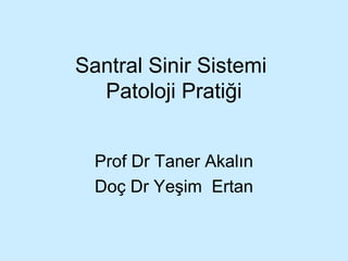 Santral Sinir Sistemi
Patoloji Pratiği
Prof Dr Taner Akalın
Doç Dr Yeşim Ertan
 