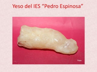 Yeso del IES “Pedro Espinosa”