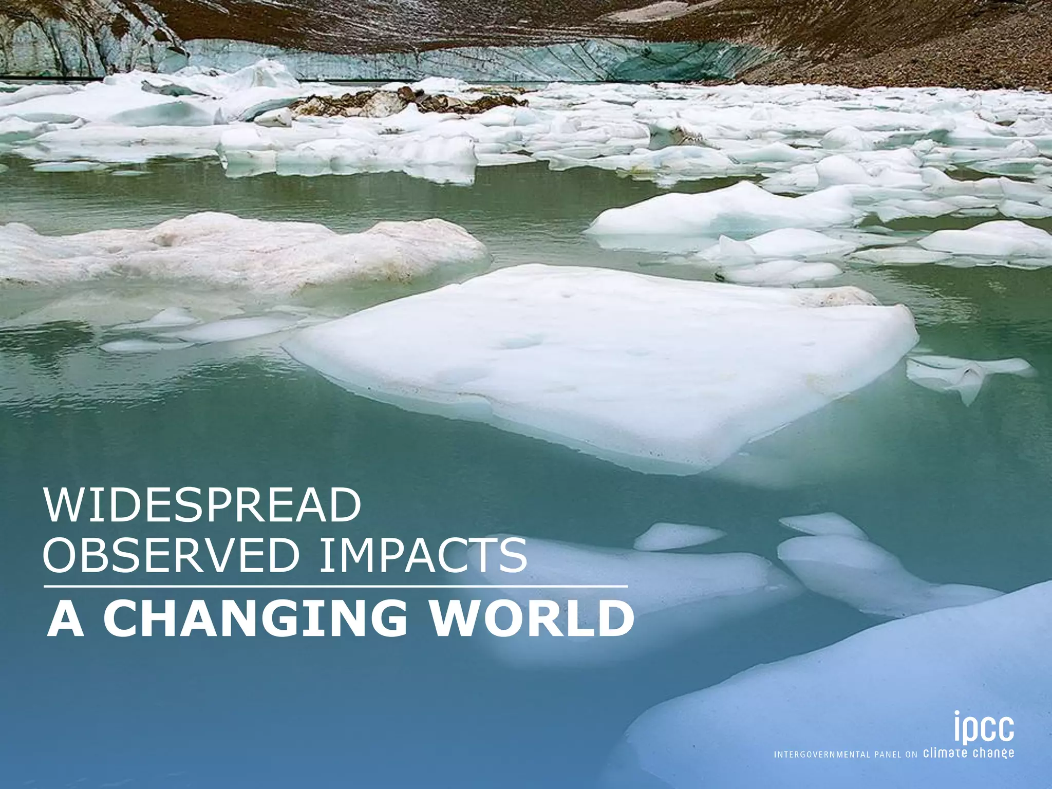 A CHANGING WORLD
WIDESPREAD
OBSERVED IMPACTS
 