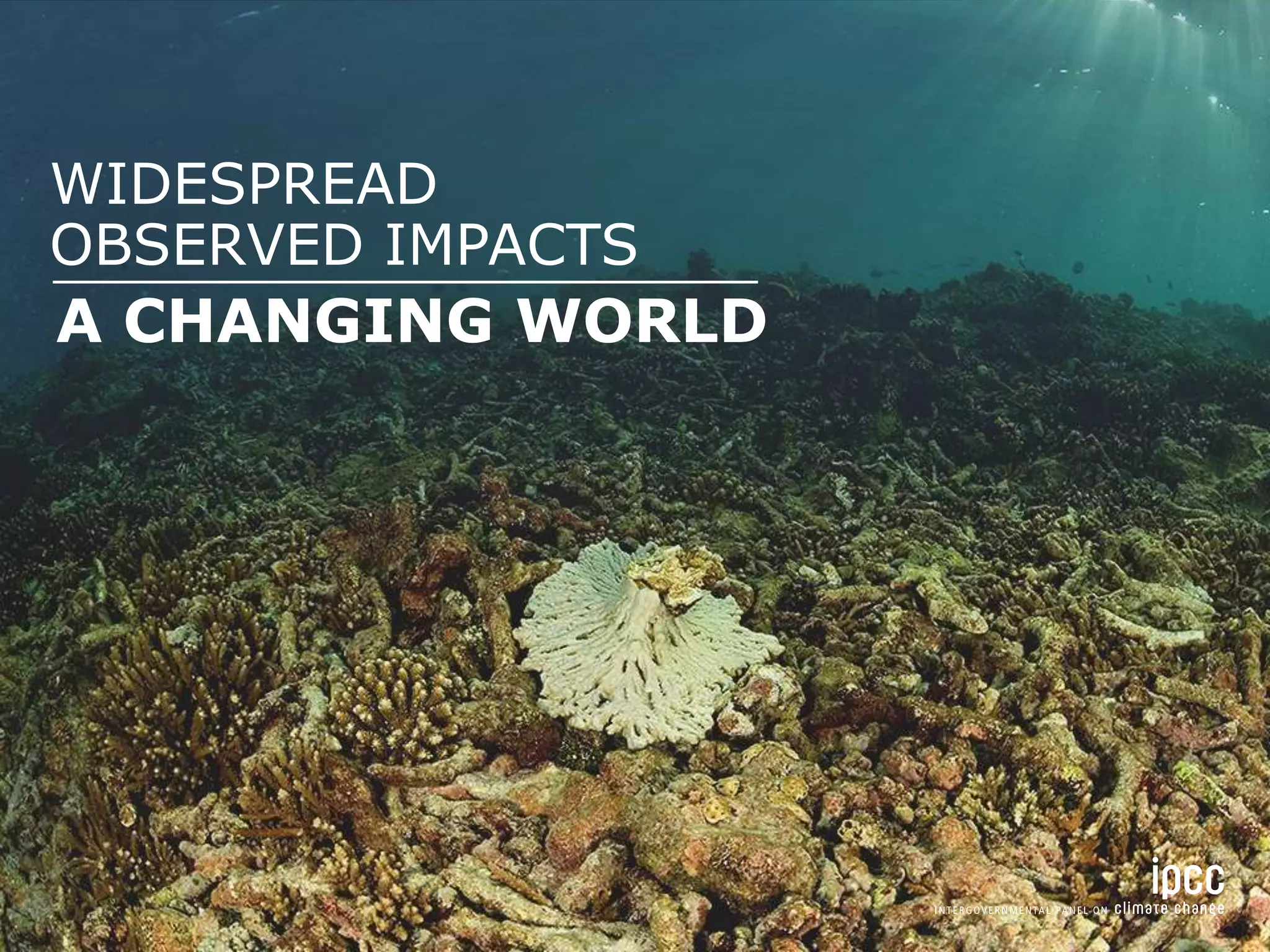 A CHANGING WORLD
WIDESPREAD
OBSERVED IMPACTS
 