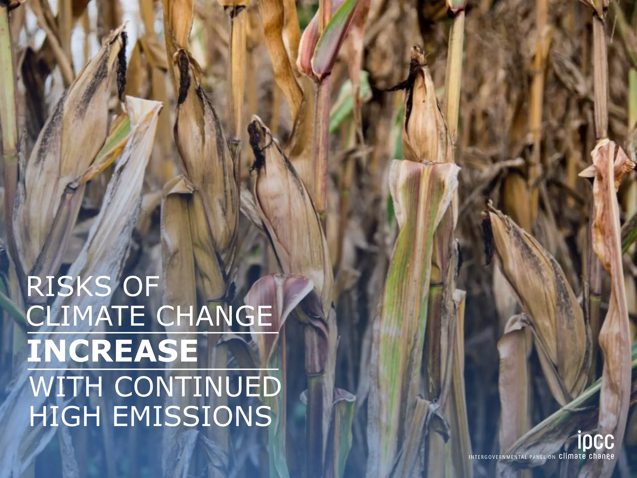 WITH CONTINUED
HIGH EMISSIONS
INCREASE
RISKS OF
CLIMATE CHANGE
 