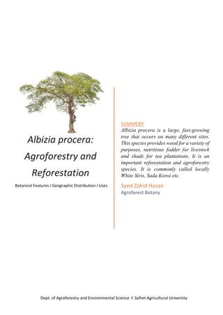 Albizia procera:
Agroforestry and
Reforestation
Botanical Features I Geographic Distribution I Uses
SUMMERY
Albizia procera is a large, fast-growing
tree that occurs on many different sites.
This species provides wood for a variety of
purposes, nutritious fodder for livestock
and shade for tea plantations. It is an
important reforestation and agroforestry
species. It is commonly called locally
White Siris, Sada Koroi etc.
Syed Zahid Hasan
Agroforest Botany
Dept. of Agroforestry and Environmental Science I Sylhet Agricultural University
 