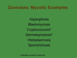 Zoonoses: Mycotic Examples Aspergillosis Blastomycosis Cryptococcosis* Dermatophytosis* Histoplasmosis Sporotrichosis * indicates covered in lectures  