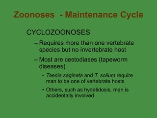 Zoonoses  - Maintenance Cycle CYCLOZOONOSES Requires more than one vertebrate species but no invertebrate host Most are cestodiases (tapeworm diseases) Taenia saginata  and  T. solium  require man to be one of vertebrate hosts Others, such as hydatidosis, man is accidentally involved 