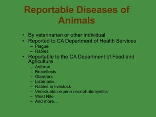 Reportable Diseases of Animals By veterinarian or other individual Reported to CA Department of Health Services Plague  Rabies Reportable to the CA Department of Food and Agriculture  Anthrax Brucellosis Glanders Listeriosis Rabies in livestock Venezuelan equine encephalomyelitis West Nile And more… 