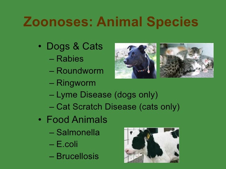1 Zoonoses Intro Dunne