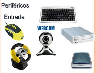 Periféricos
 Entrada
 