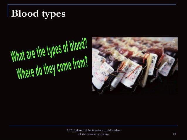 The Circulatory Systemmr. Standring The Circulatory Systemmr. Standring