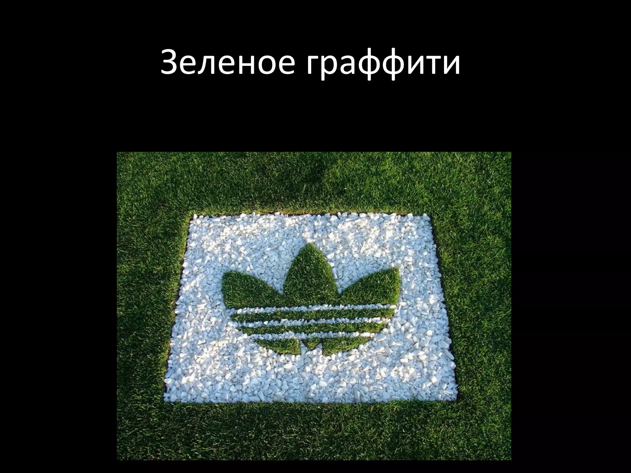 Зеленое граффити
 