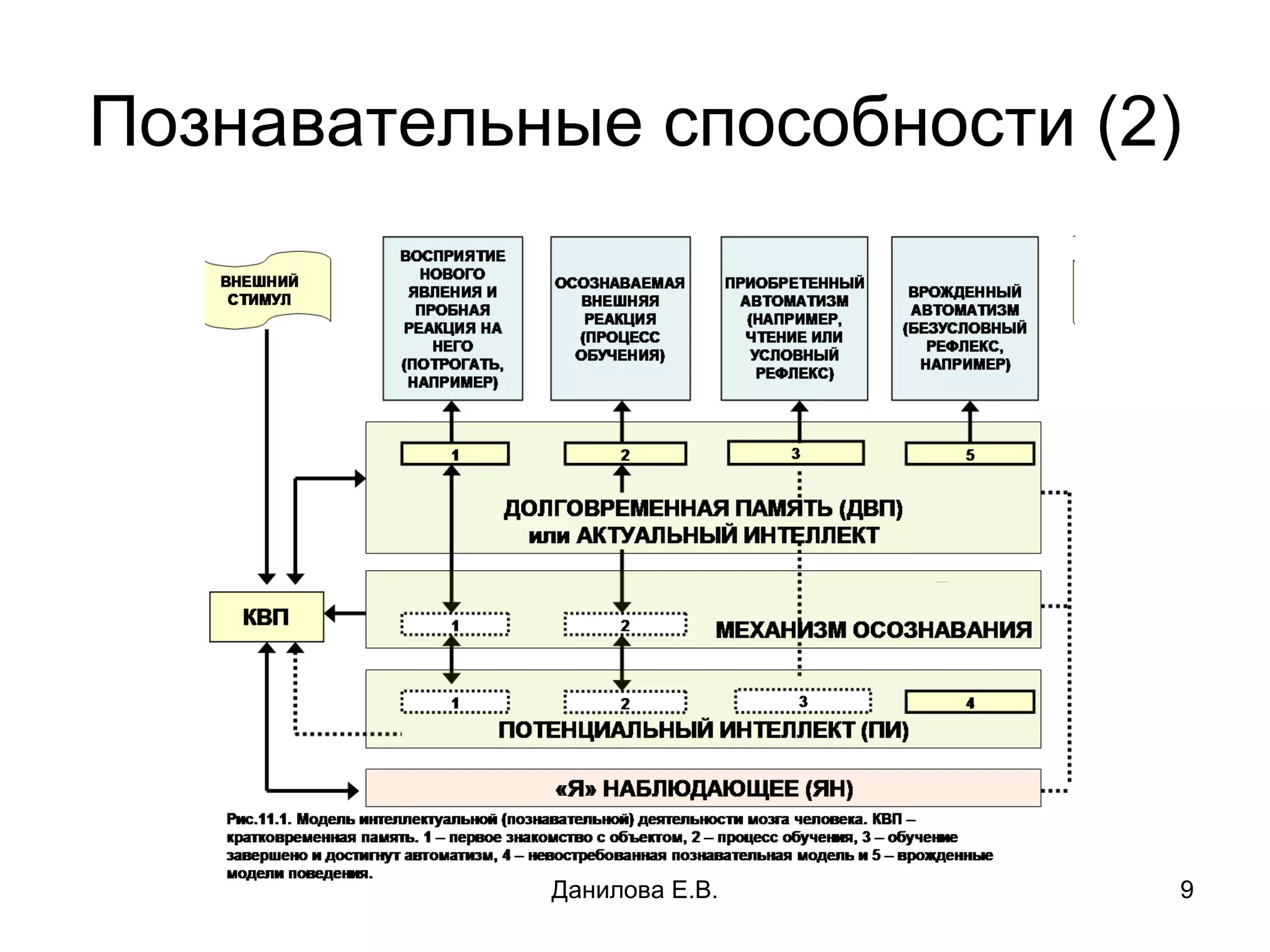 Познавательные способности (2) Данилова Е.В. 