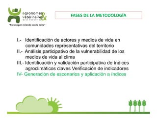 “Para seguir viviendo con la tierra” 
FASES DE LA METODOLOGÍA 
I.- Identificación de actores y medios de vida en 
comunidades representativas del territorio 
II.- Análisis participativo de la vulnerabilidad de los 
medios de vida al clima 
III.- Identificación y validación participativa de índices 
agroclimáticos claves Verificación de indicadores 
IV- Generación de escenarios y aplicación a índices 
 
