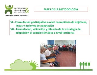 “Para seguir viviendo con la tierra” 
FASES DE LA METODOLOGÍA 
VI.‐ Formulación participativa a nivel comunitario de objetivos, 
líneas y acciones de adaptación 
VII.‐ Formulación, validación y difusión de la estrategia de 
adaptación al cambio climático a nivel territorial 
 