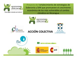 Proyecto de Fortalecimiento de estrategias de 
Soberanía y SAN que promueven el crecimiento 
económico de los más vulnerables al cambio 
climático en Nicaragua “Para seguir viviendo con la tierra” 
ACCIÓN COLECTIVA 
IEH Instituto de Estudios del Hambre 
 