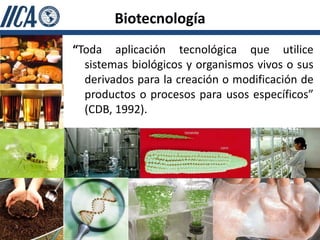 Biotecnología
“Toda aplicación tecnológica que utilice
  sistemas biológicos y organismos vivos o sus
  derivados para la creación o modificación de
  productos o procesos para usos específicos”
  (CDB, 1992).
 