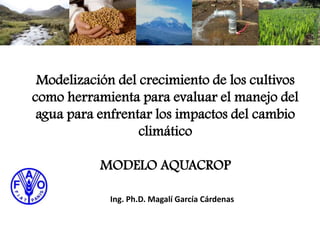 Modelización del crecimiento de los cultivos
como herramienta para evaluar el manejo del
agua para enfrentar los impactos del cambio
climático
MODELO AQUACROP
Ing. Ph.D. Magalí García Cárdenas
 