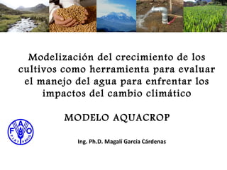 Modelización del crecimiento de los
cultivos como herramienta para evaluar
 el manejo del agua para enfrentar los
     impactos del cambio climático

        MODELO AQUACROP

           Ing. Ph.D. Magalí García Cárdenas
 