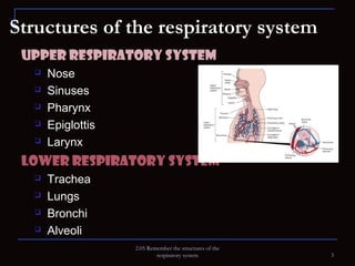 Structures of the Respiratory System | PPT