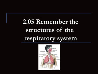2.05 Remember the
 structures of the
respiratory system
 