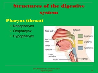 Structures of the digestive
              system
Pharynx (throat)
    Nasopharynx
    Oropharynx
    Hypopharynx




               2.07 Remember the structures of the
                        digestive system             10
 