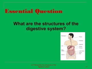 Essential Question
  What are the structures of the
       digestive system?




          2.07 Remember the structures of the
                   digestive system             17
 