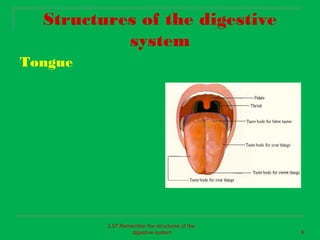 Structures of the digestive
           system
Tongue




         2.07 Remember the structures of the
                  digestive system             6
 