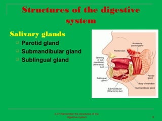 Structures of the digestive
              system
Salivary glands
    Parotid gland
    Submandibular gland
    Sublingual gland




               2.07 Remember the structures of the
                        digestive system             8
 