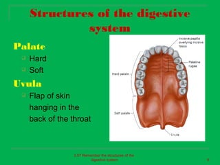 Structures of the digestive
              system
Palate
    Hard
    Soft
Uvula
    Flap of skin
     hanging in the
     back of the throat



                  2.07 Remember the structures of the
                           digestive system             9
 