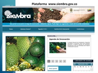 Plataforma www.siembra.gov.co
 