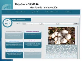 Plataforma SIEMBRA
             Gestión de la innovación
 
