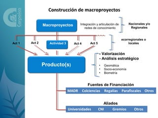 Construcción de macroproyectos

                Macroproyectos          Integración y articulación de         Nacionales y/o
                                           redes de conocimiento               Regionales


                                                                        ecorregionales o
Act 1   Act 2      Actividad 3      Act 4        Act 5                       locales


                                                         - Valorización
                                                         - Análisis estratégico
                Producto(s)                              •   Geomática
                                                         •   Socio-economía
                                                         •   Biometría


                                               Fuentes de Financiación
                                 MADR       Colciencias      Regalías Parafiscales Otros


                                                            Aliados
                                 Universidades           CNI     Gremios         Otros
 