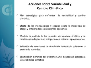 Acciones sobre Variabilidad y
                 Cambio Climático
   Plan estratégico para enfrentar     la variabilidad y cambio
    climático.

   Efecto de las inundaciones y sequias sobre la incidencia de
    plagas y enfermedades en sistemas pecuarios.

   Modelo de análisis de los impactos del cambio climático y de
    medidas de adaptación y mitigación en sistemas agropecuarios.

   Selección de accesiones de Brachiaria humidícola tolerantes a
    exceso de humedad.

   Zonificación climática del altiplano Cundi-boyacense asociada a
    la variabilidad climática
 