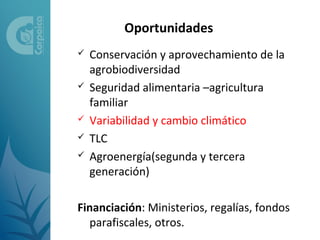 Oportunidades
   Conservación y aprovechamiento de la
    agrobiodiversidad
   Seguridad alimentaria –agricultura
    familiar
   Variabilidad y cambio climático
   TLC
   Agroenergía(segunda y tercera
    generación)

Financiación: Ministerios, regalías, fondos
  parafiscales, otros.
 