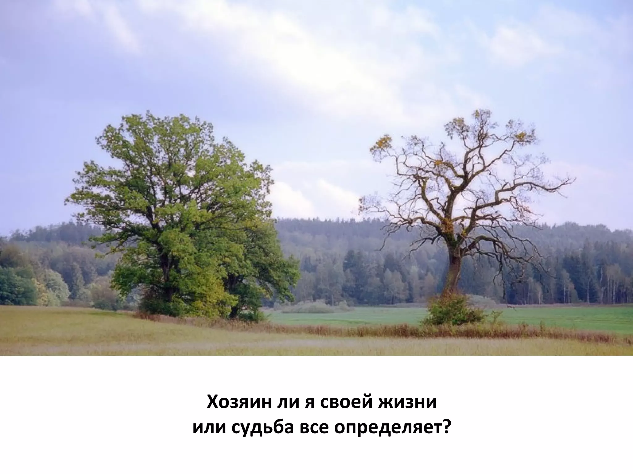   Хозяин ли я своей жизни  или судьба все определяет? 