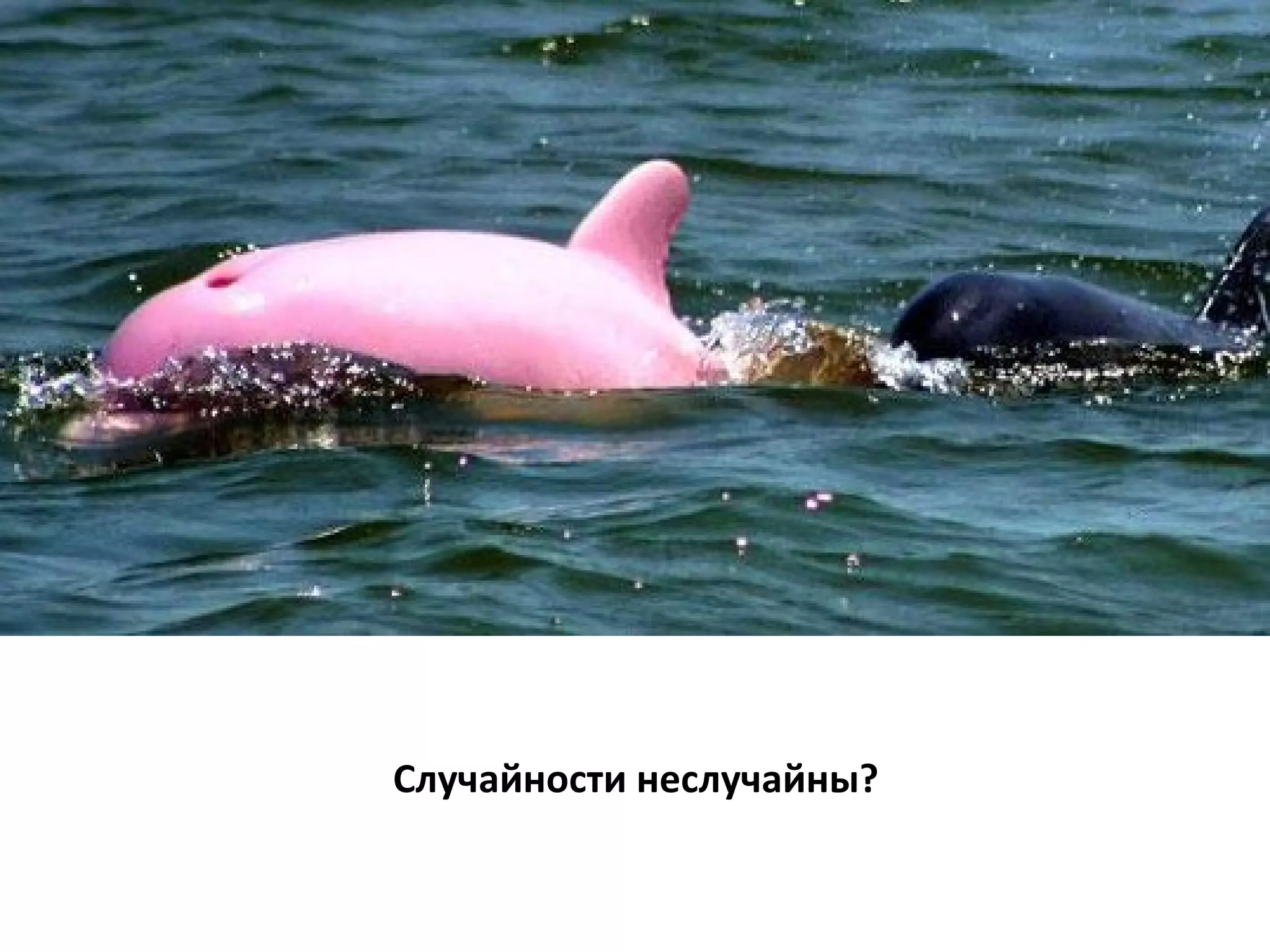 Случайности неслучайны? 