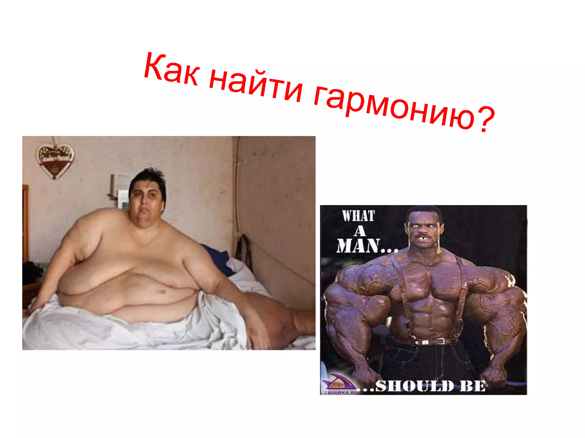 Как найти гармонию? 