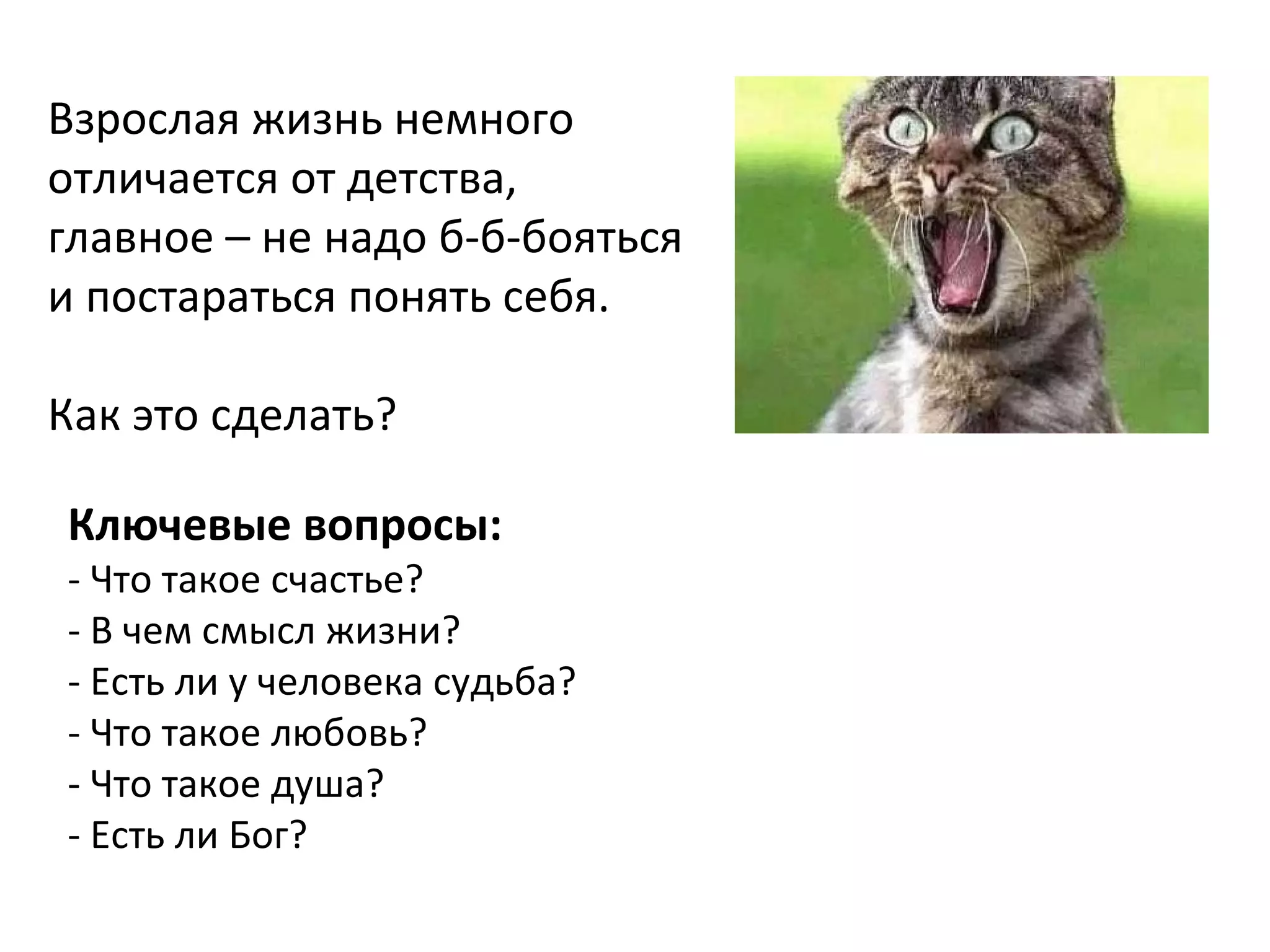 Взрослая жизнь немного  отличается от детства, главное – не надо б-б-бояться и постараться понять себя.  Как это сделать? Ключевые вопросы: -  Что такое счастье?  -  В чем смысл жизни? -  Есть ли у человека судьба? -  Что такое любовь? -  Что такое душа? -  Есть ли Бог? 