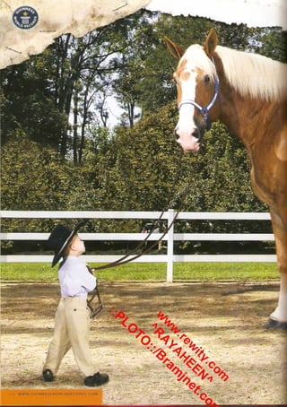 موسوعة غينس للارقام القياسيه 2