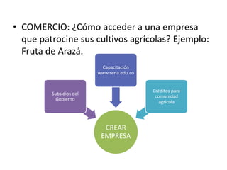 COMERCIO: ¿Cómo acceder a una empresa que patrocine sus cultivos agrícolas? Ejemplo: Fruta de Arazá.