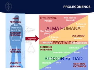 Uso Teórico (Verdad)‏INTELIGENCIAPensarA. Externa(Hacer)‏ALMA HUMANAUso Práctico (Bien)‏VOLUNTADAcciónA. Interna(Obrar)‏AFECTIVIDADIrascibleConcupiscibleSENTIDOS INTERNOSEstimativaOídoOlfatoSensorio ComúnSENSORIALIDADTactoImaginaciónVistaMemoriaSENTIDOS EXTERNOSGustoPROLEGÓMENOSAMARPERSONALCONOCER PERSONALLIBERTAD PERSONALCOEXISITRPERSONALSer Personal(espíritu)‏INTIMIDADDisponer