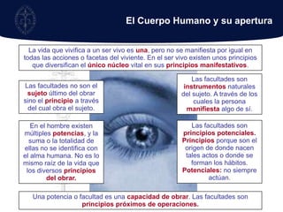 El Cuerpo Humano y su aperturaLa vida que vivifica a un ser vivo es una, pero no se manifiesta por igual en todas las acciones o facetas del viviente. En el ser vivo existen unos principios que diversifican el único núcleo vital en sus principios manifestativos.Las facultades son instrumentos naturales del sujeto. A través de los cuales la persona manifiesta algo de sí. Las facultades no son el sujeto último del obrar sino el principio a través del cual obra el sujeto. Las facultades son principios potenciales.Principios porque son el origen de donde nacen tales actos o donde se forman los hábitos. Potenciales: no siempre actúan.En el hombre existen múltiples potencias, y la suma o la totalidad de ellas no se identifica con el alma humana. No es lo mismo raíz de la vida que los diversos principios del obrar.Una potencia o facultad es una capacidad de obrar. Las facultades son principios próximos de operaciones.