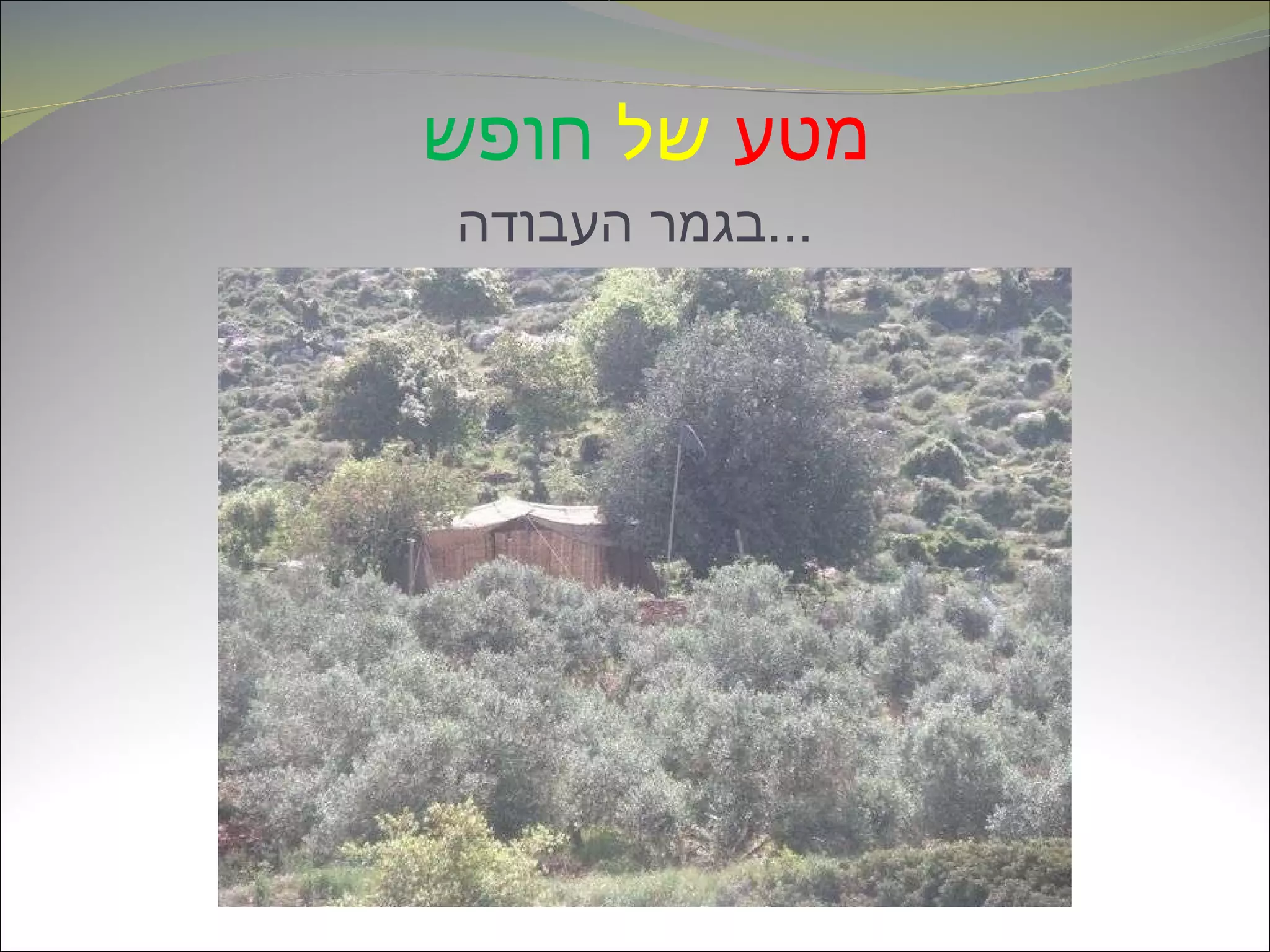 מטע   של   חופש   בגמר העבודה ... 