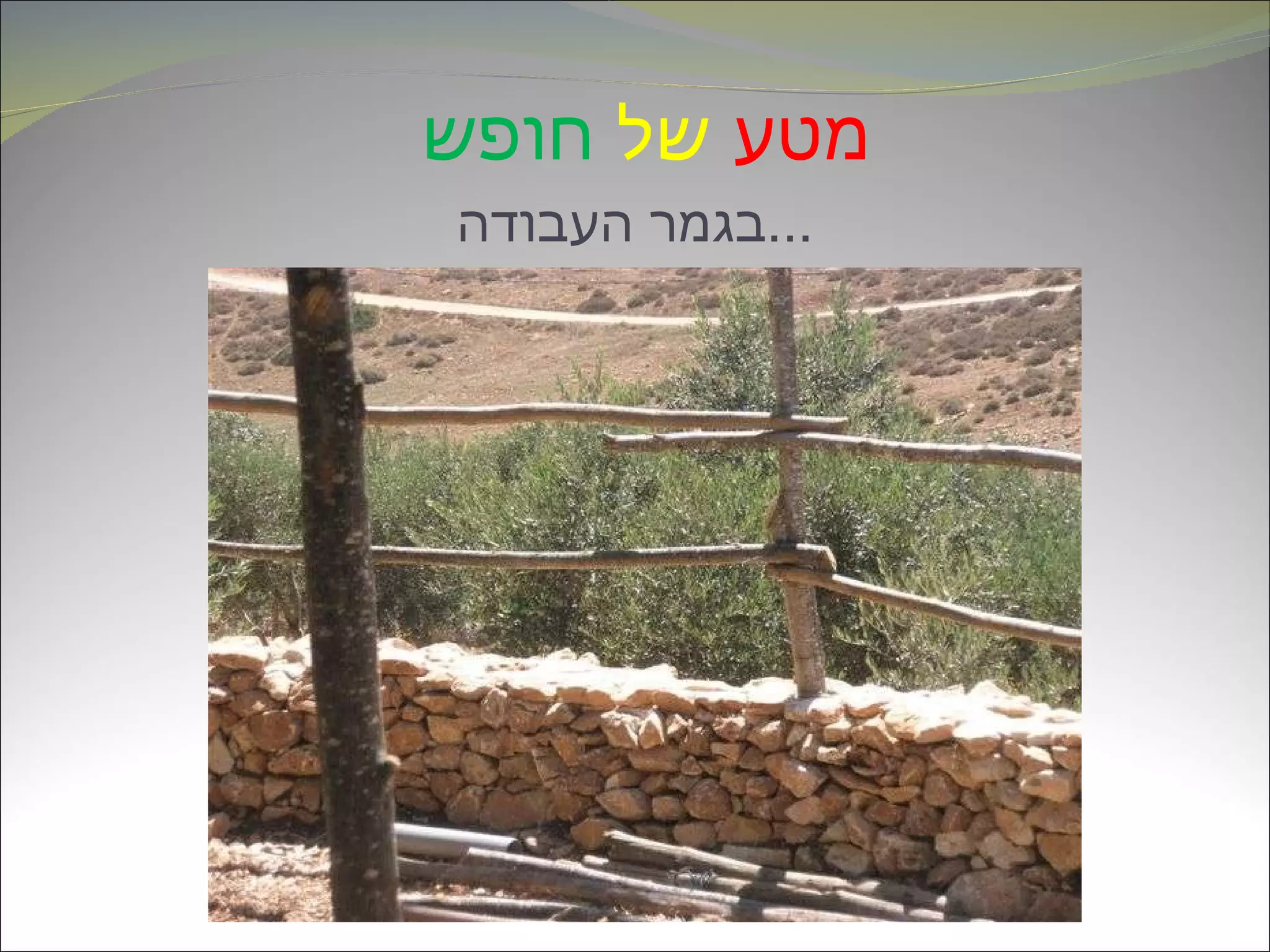 מטע   של   חופש   בגמר העבודה ... 