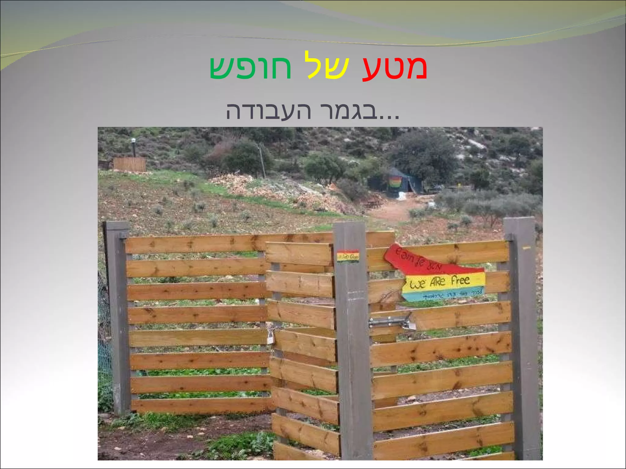 מטע   של   חופש   בגמר העבודה ... 