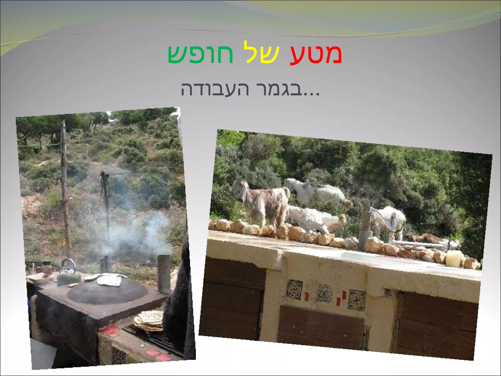 מטע   של   חופש   בגמר העבודה ... 