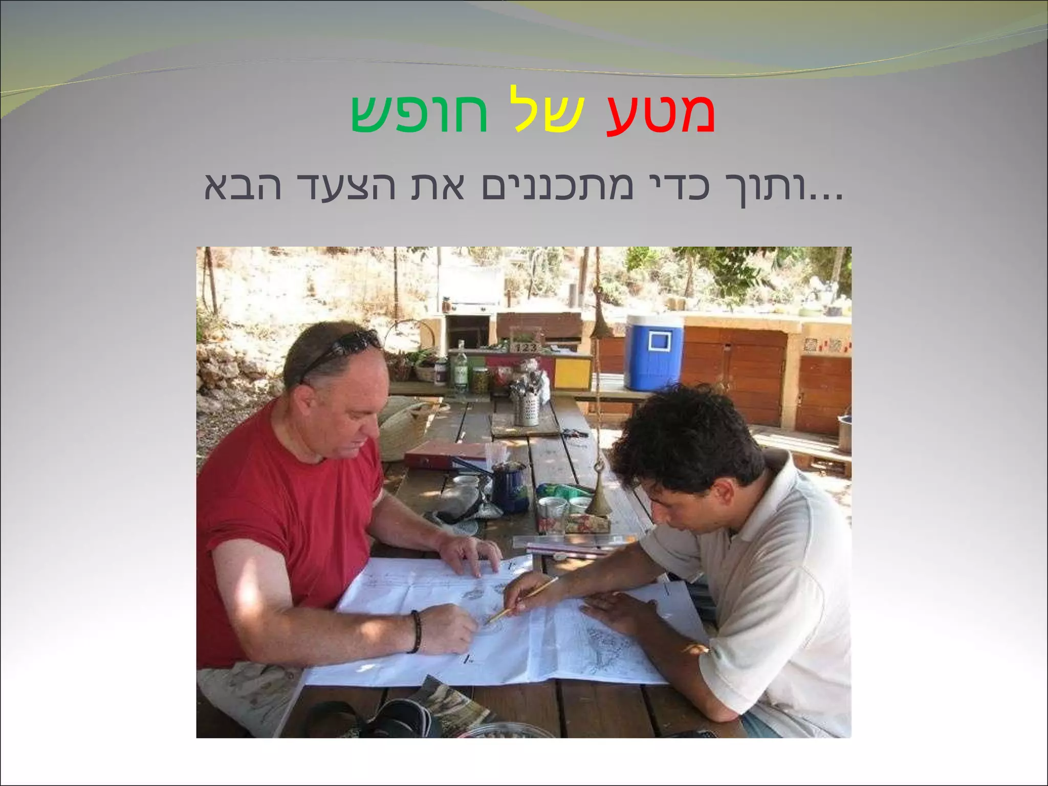 מטע   של   חופש   ותוך כדי מתכננים את הצעד הבא ... 